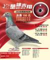 图片暂时未上传