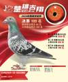图片暂时未上传