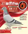 图片暂时未上传