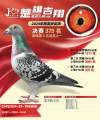 图片暂时未上传