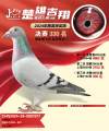 图片暂时未上传