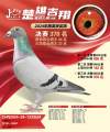 图片暂时未上传