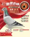 图片暂时未上传