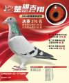 图片暂时未上传