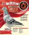 图片暂时未上传