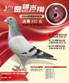 图片暂时未上传