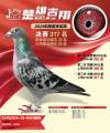图片暂时未上传