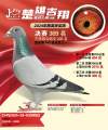 图片暂时未上传