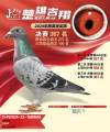 图片暂时未上传