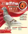 图片暂时未上传