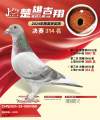 图片暂时未上传