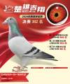 图片暂时未上传