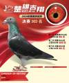 图片暂时未上传