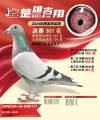 图片暂时未上传