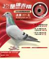 图片暂时未上传