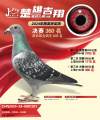 图片暂时未上传