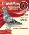 图片暂时未上传