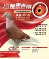图片暂时未上传
