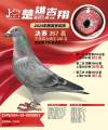 图片暂时未上传