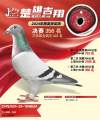 图片暂时未上传