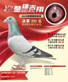 图片暂时未上传