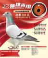 图片暂时未上传