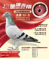 图片暂时未上传