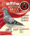 图片暂时未上传