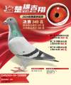 图片暂时未上传