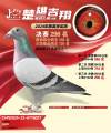 图片暂时未上传