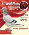 图片暂时未上传