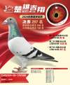 图片暂时未上传