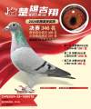 图片暂时未上传
