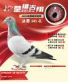 图片暂时未上传