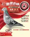 图片暂时未上传