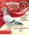 图片暂时未上传