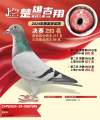 图片暂时未上传