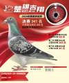 图片暂时未上传