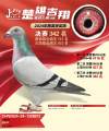 图片暂时未上传