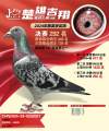 图片暂时未上传