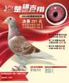 图片暂时未上传