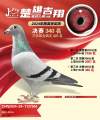 图片暂时未上传