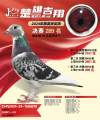 图片暂时未上传