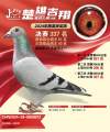 图片暂时未上传