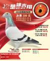 图片暂时未上传