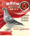 图片暂时未上传
