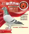图片暂时未上传