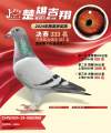 图片暂时未上传