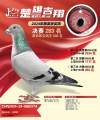 图片暂时未上传