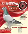 图片暂时未上传